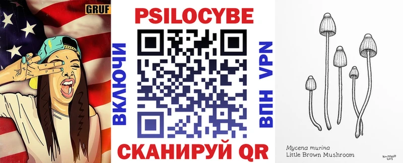 darknet наркотические препараты  Строитель  Галлюциногенные грибы Magic Shrooms 